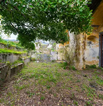 Foto annuncio 88