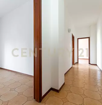 Foto annuncio 19