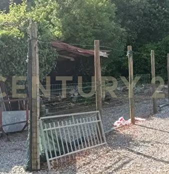 Foto annuncio 14