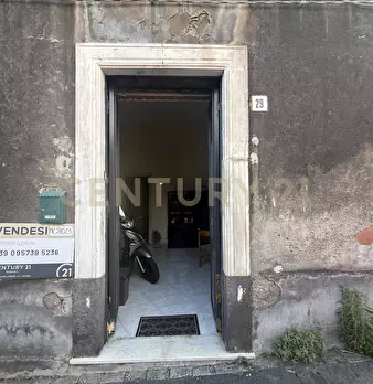 Foto annuncio 10