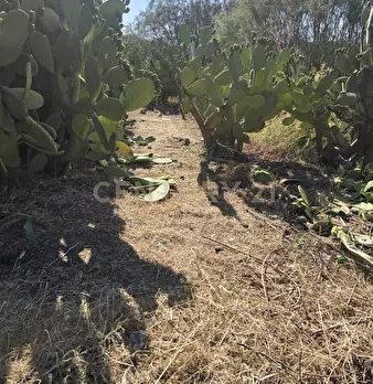 Foto annuncio 32