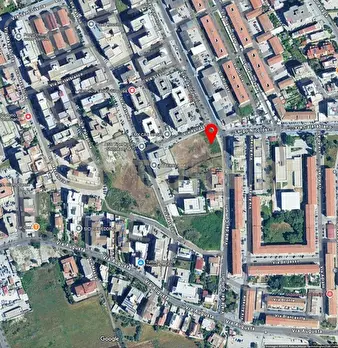 Foto annuncio 7