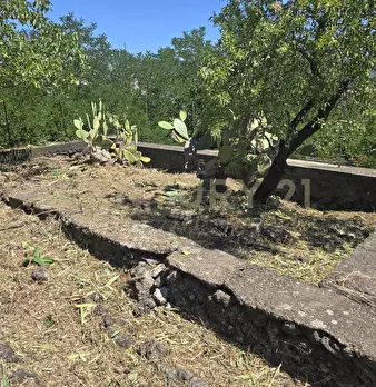 Foto annuncio 28
