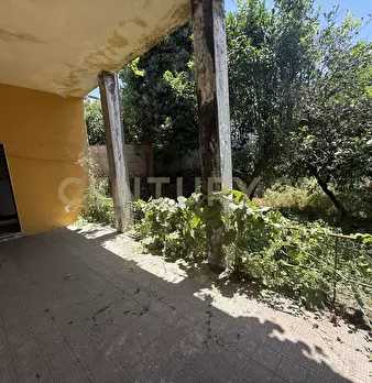 Foto annuncio 20