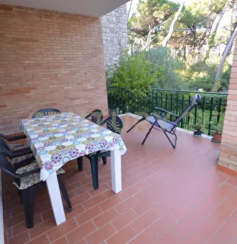 Foto annuncio 11