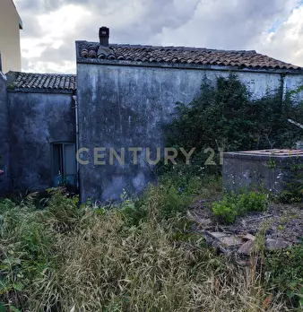 Foto annuncio 36