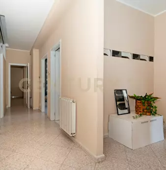 Foto annuncio 28