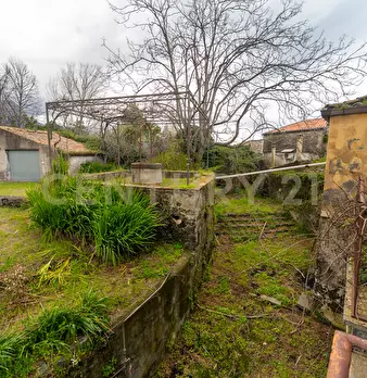 Foto annuncio 51