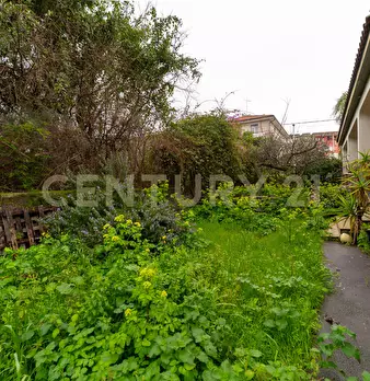 Foto annuncio 11