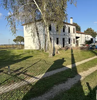 Foto annuncio 46