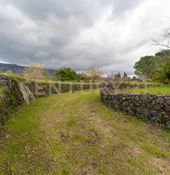 Foto annuncio 19