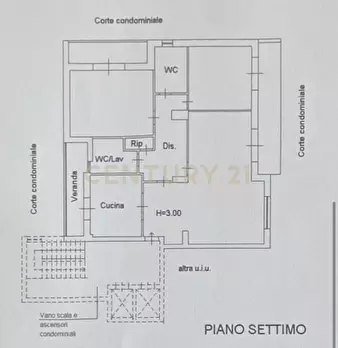 Foto annuncio 51