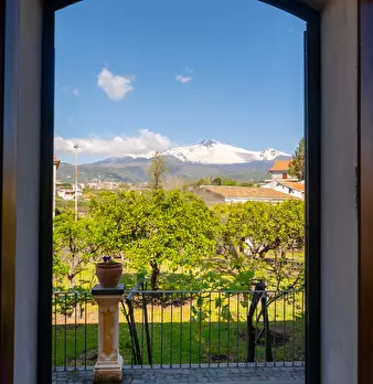 Foto annuncio 18