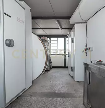 Foto annuncio 31