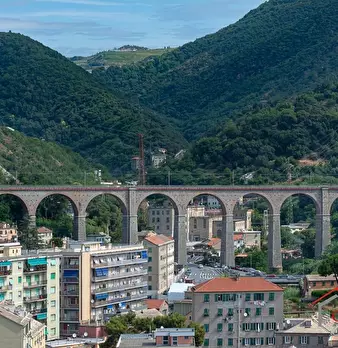 Foto annuncio 34