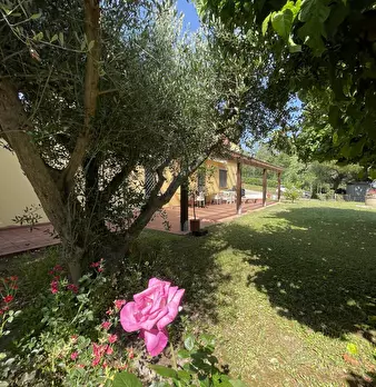 Foto annuncio 9