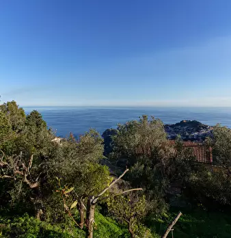 Foto annuncio 28