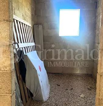 Foto annuncio 28