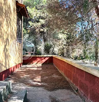 Foto annuncio 7