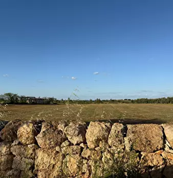 Foto annuncio 16