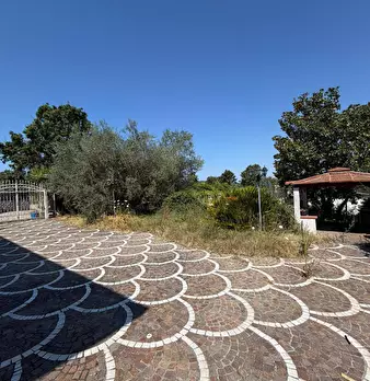 Foto annuncio 7