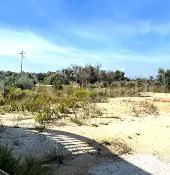 Foto annuncio 25