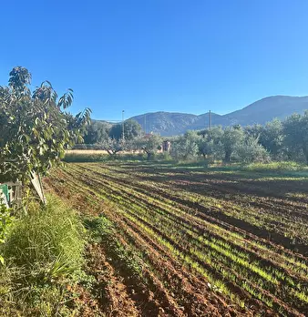 Foto annuncio 7