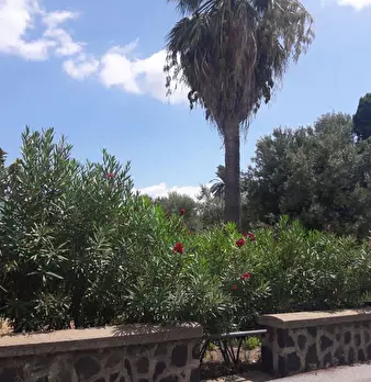 Foto annuncio 17