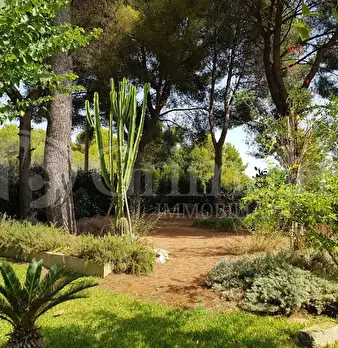 Foto annuncio 36
