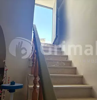 Foto annuncio 22
