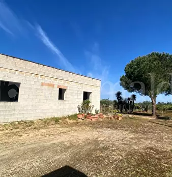 Foto annuncio 22
