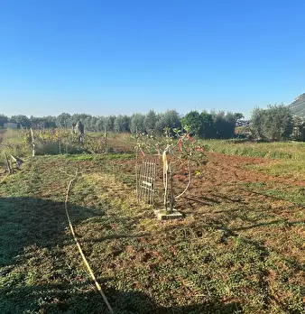 Foto annuncio 2