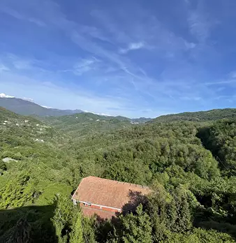 Foto annuncio 17