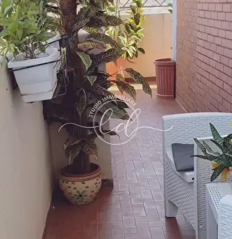 Foto annuncio 51