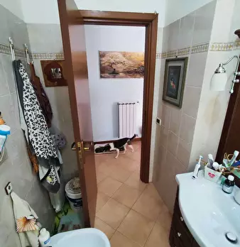 Foto annuncio 16