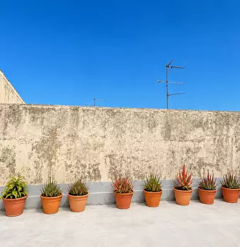 Foto annuncio 38