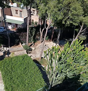 Foto annuncio 50