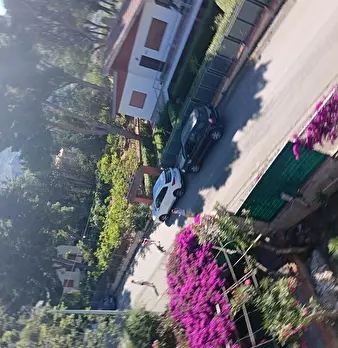 Foto annuncio 43