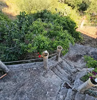 Foto annuncio 101