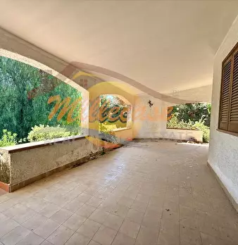 Foto annuncio 6