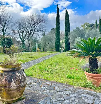 Foto annuncio 12