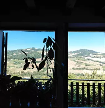 Foto annuncio 11