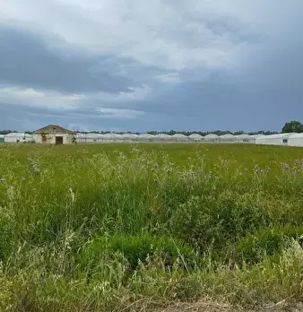 Foto annuncio 19