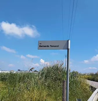 Foto annuncio 12
