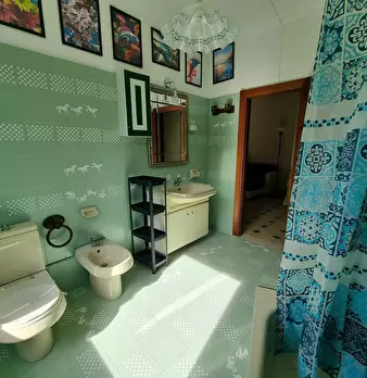 Foto annuncio 37