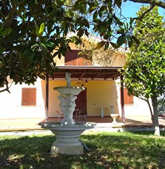 Foto annuncio 8
