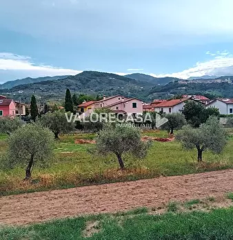 Foto annuncio 12