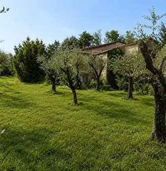 Foto annuncio 4