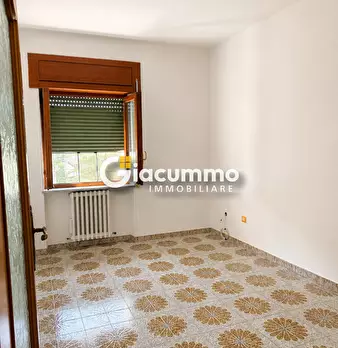 Foto annuncio 19