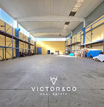 Foto annuncio 7
